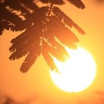 پیش‌بینی کاهش ۲ تا ۴ درجه‌ای دمای خوزستان