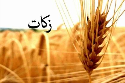 افزایش ۴۰ درصدی زکات در تیران