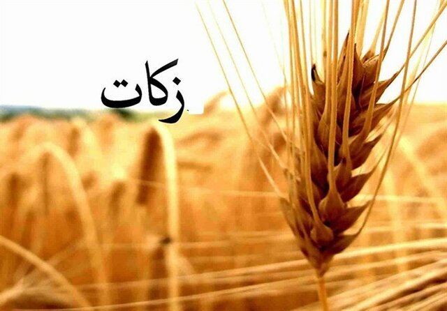 افزایش ۴۰ درصدی زکات در تیران