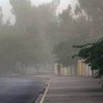 تداوم وزش باد در تهران افزایش نسبی دما طی جمعه