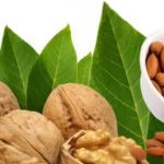 علی‌آباد دمق‌ ملایر، میزبان چهارمین جشنواره گردو و بادام