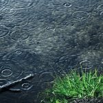 کارشناس هواشناسی قزوین اعلام کرد ثبت بارش ۶.۵ میلی‌متری در قزوین