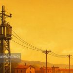 نقش تعیین کننده تسهیلات مالی برای سرمایه گذاری بخش خصوصی در صنعت برق